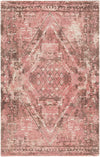 Chandra Tayla TAY-42401 Pink/Brown/White Area Rug main image