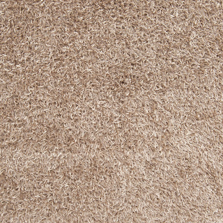 Surya Taz TAZ-1002 Beige Area Rug Sample Swatch