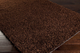 Surya Taz TAZ-1024 Chocolate Hand Woven Area Rug 5x8 Corner