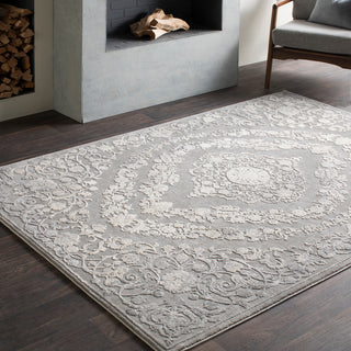 Surya Tibetan TBT-2301 Area Rug Room Image Feature