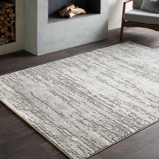 Surya Tibetan TBT-2305 Area Rug Room Image Feature