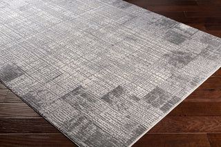 Surya Tibetan TBT-2306 Taupe Medium Gray Cream Area Rug Corner Image
