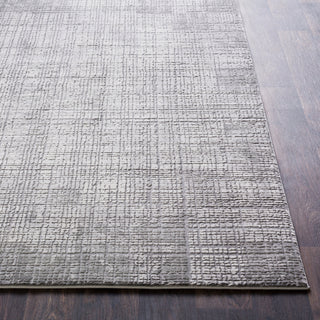 Surya Tibetan TBT-2306 Taupe Medium Gray Cream Area Rug Detail Image