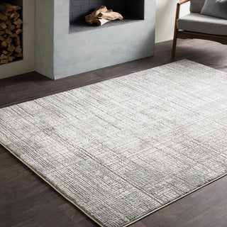 Surya Tibetan TBT-2306 Area Rug Room Image Feature