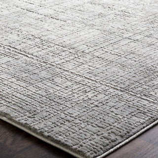 Surya Tibetan TBT-2306 Taupe Medium Gray Cream Area Rug Texture Image