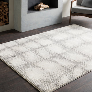 Surya Tibetan TBT-2307 Area Rug Room Image Feature