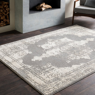 Surya Tibetan TBT-2310 Area Rug Room Image Feature