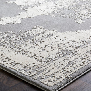 Surya Tibetan TBT-2310 Area Rug Texture Image