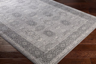Surya Tibetan TBT-2311 Taupe Medium Gray Ivory Area Rug Corner Image