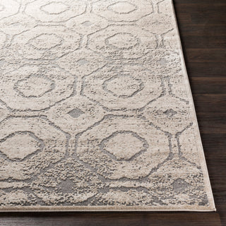 Surya Tibetan TBT-2313 Area Rug 