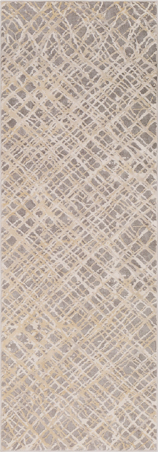 Surya Tibetan TBT-2316 Charcoal Taupe Khaki Medium Gray Cream Area Rug Runner Image