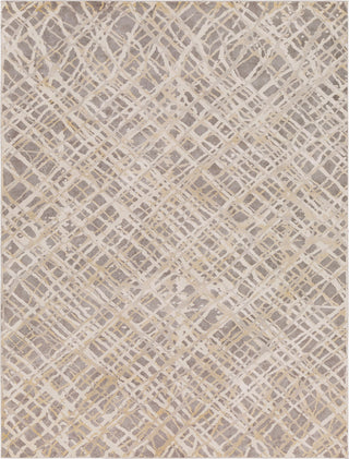 Surya Tibetan TBT-2316 Charcoal Taupe Khaki Medium Gray Cream Area Rug Main Image 8 X 10