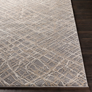 Surya Tibetan TBT-2316 Area Rug 