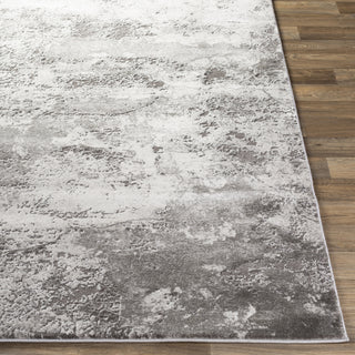 Surya Tibetan TBT-2320 Area Rug