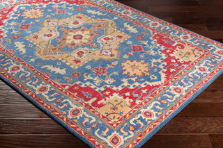 Surya Tabriz TBZ-1004 Charcoal Tan Bright Red Wheat Camel Light Gray Teal Area Rug Corner Image