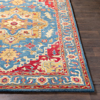 Surya Tabriz TBZ-1004 Area Rug 