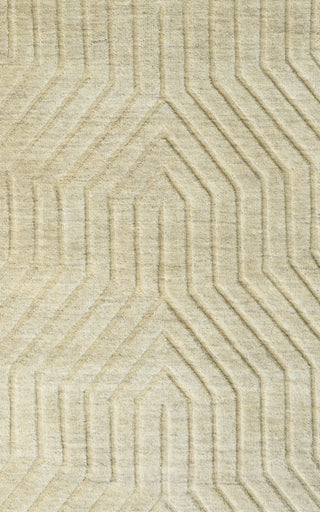 Rizzy Technique TC8580 Area Rug 