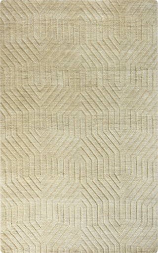 Rizzy Technique TC8580 Area Rug 