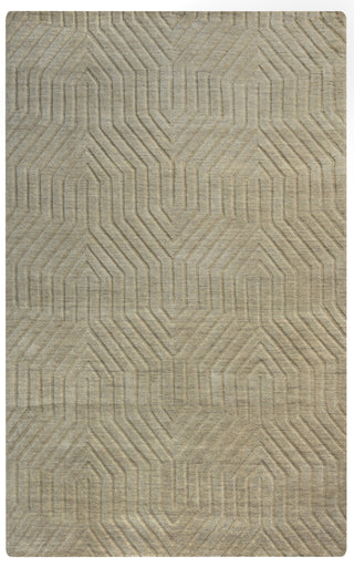 Rizzy Technique TC8580 Tan Area Rug main image