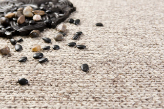 Surya Toccoa TCA-201 Area Rug