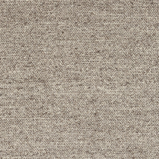 Surya Toccoa TCA-201 Area Rug