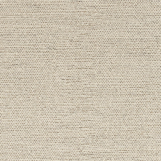 Surya Toccoa TCA-202 Ivory Hand Woven Area Rug Sample Swatch