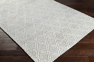 Livabliss Trace TCE-2301 Area Rug