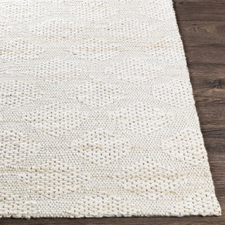 Livabliss Trace TCE-2304 Area Rug