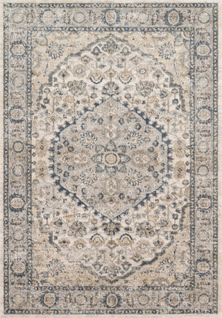 Loloi II Teagan TEA-01 Natural/Light Grey Area Rug Main Image