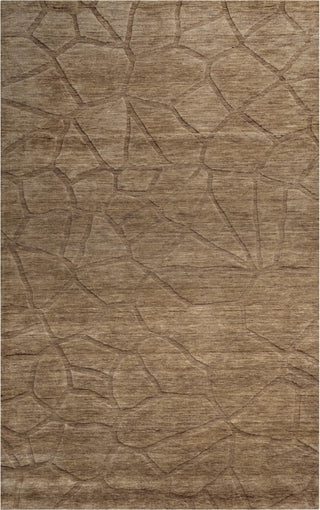 Rizzy Technique TC8269 Brown Area Rug Main Image