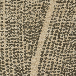 Momeni Teppe TEP-4 Natural Area Rug Swatch Image