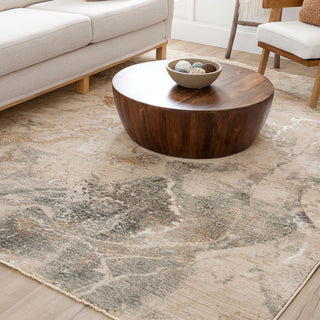 Karastan Echo Tesoro Cream Area Rug Corner Image