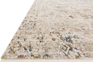 Loloi Theia THE-04 Multi/Natural Area Rug Closeup Image Feature