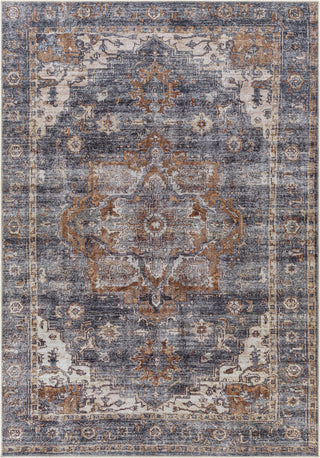 Surya Tahmis THI-2701 Area Rug main image