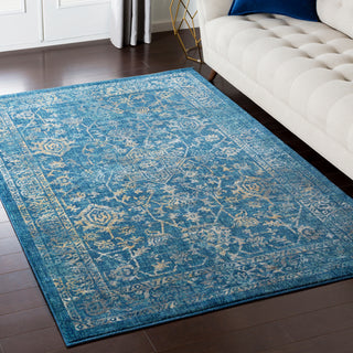 Surya Tharunaya THN-1009 Area Rug Room Image Feature