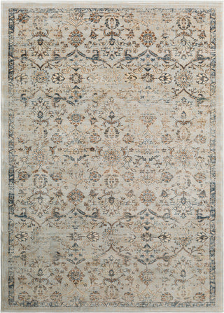 Surya Tharunaya THN-1010 Silver Gray Khaki Camel Medium Navy Mint Area Rug main image