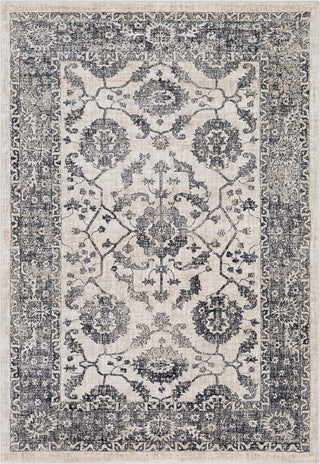 Surya Tharunaya THN-1018 Medium Gray Black Khaki Cream Area Rug main image