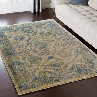 Surya Tharunaya THN-1019 Area Rug Room Image Feature