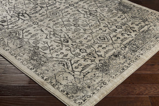 Surya Tharunaya THN-1024 Medium Gray Black Khaki Cream Area Rug Corner Image
