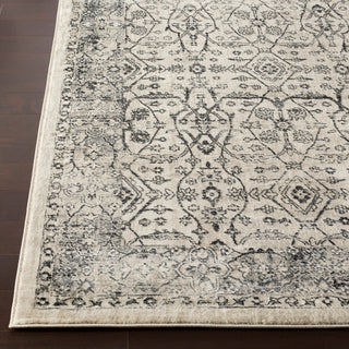 Surya Tharunaya THN-1024 Medium Gray Black Khaki Cream Area Rug Detail Image