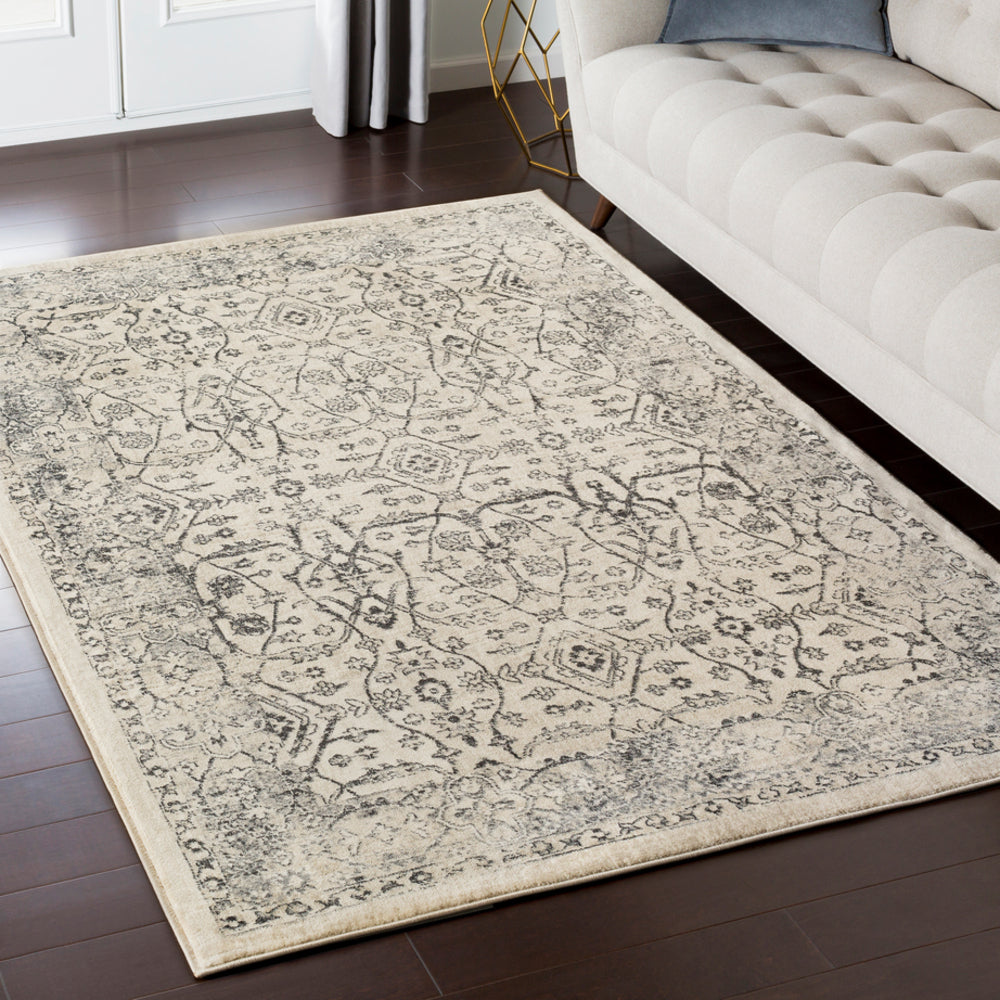 Surya Tharunaya THN-1024 Area Rug Room Image Feature