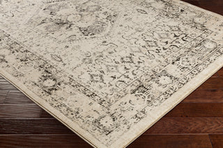 Surya Tharunaya THN-1027 Black Medium Gray Silver Khaki Cream Area Rug Corner Image