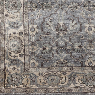 Surya Theodora THO-3001 Ivory Hand Knotted Area Rug Sample Swatch