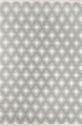 Momeni Thompson THO10 Grey Area Rug by Erin Gates