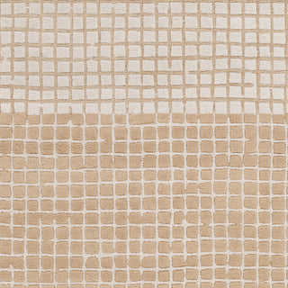 Surya Theory THY-5006 Tan Hand Tufted Area Rug Sample Swatch