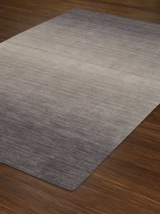 Dalyn Torino TI100 Ash Area Rug Floor Shot