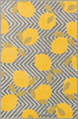 Loloi Tilley HTI05 Grey / Yellow Area Rug Main