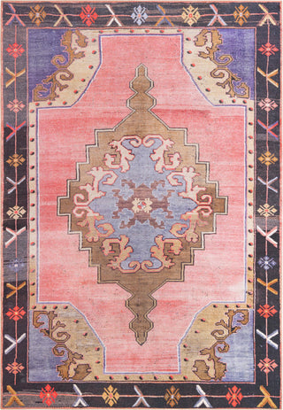 Unique Loom Timeless LEO-RVVL2 Pink Area Rug main image