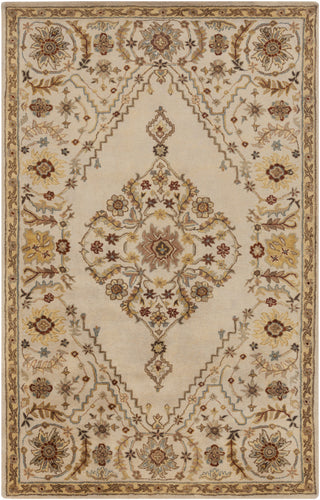 Surya Tinley TIN-4001 Area Rug 5' x 8'