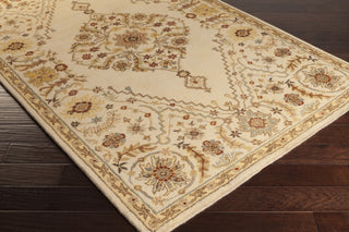 Surya Tinley TIN-4001 Area Rug 5x8 Corner Feature